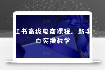 小红书高级电商课程，新手小白实操教学