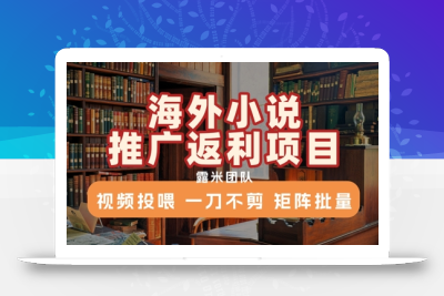 海外小说推广返利项目，视频投喂， 一刀不剪，矩阵批量