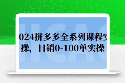 2024拼多多全系列课程实操，日销0-100单实操【必看】