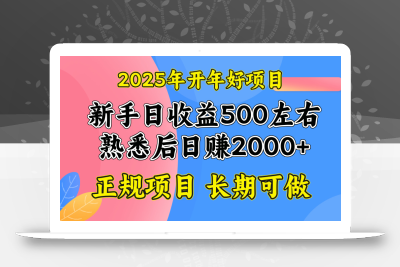 2025开年好项目，单号日收益2000左右