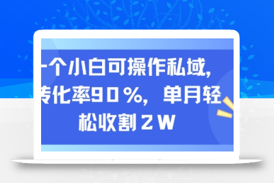 一个小白可操作私域，转化率90%，单月轻松收割2W