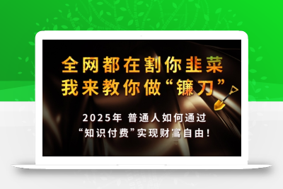 全网都在割你韭菜，我来教你做镰刀，2025年普通人如何通过 知识付费 实现财F自由【揭秘】
