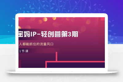 宝妈IP-轻创营第3期，人人都能抓住的流量风口(21节课