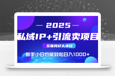 2025网创尽头项目，私域IP+引流，新手小白也能在家日入1000+