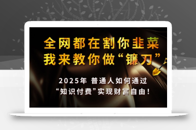 全网都在割你韭菜，我来教你做镰刀，2025普通人如何通过知识付费，实现财F自由【揭秘】