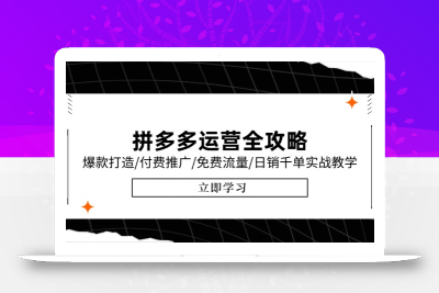 拼多多运营全攻略，爆款打造/付费推广/免费流量/日销千单实战教学/6月更新