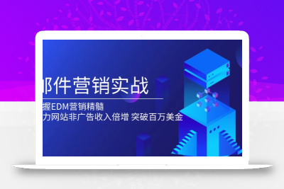 邮件营销实战，掌握EDM营销精髓，助力网站非广告收入倍增，突破百万美金