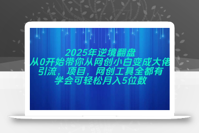 2025年逆境翻盘，从0开始带你从网创小白变成大佬，引流，项目，网创工…