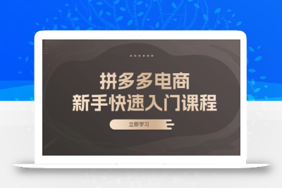 拼多多电商新手快速入门课程：涵盖基础、实战与选款，助力小白轻松上手