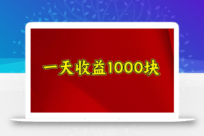 一天收益1000块，2025全网首发