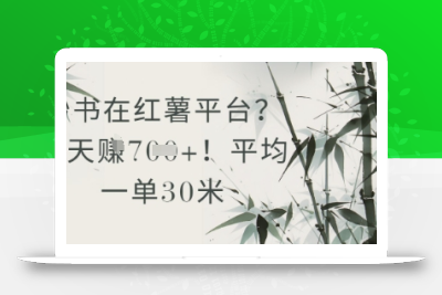 抄书在小红薯平台？平均一单30米，一天收益几张！