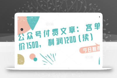 某公众号付费文章：客单价1500，利润1200(续)，市场几乎可以说是空白的