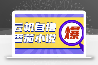 首发云手机自撸小说玩法，10块钱成本可撸200+收益操作简单【揭秘】