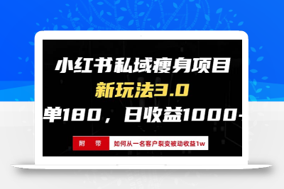 小红书瘦身项目3.0模式，新手小白日赚收益1000+(附从一名客户裂变收益…