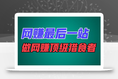 网赚最后一站，卖项目，做网赚顶级猎食者