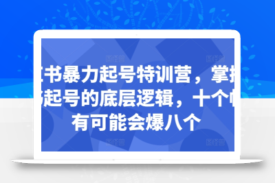 小红书暴力起号特训营，掌握小红书起号的底层逻辑，十个帖真有可能会爆八个