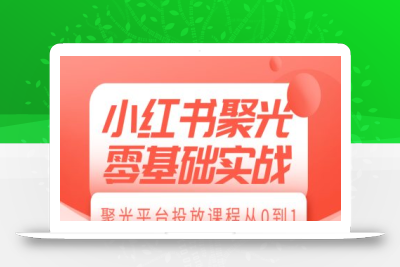 小红书聚光零基础实战，聚光平台投放课程从0到1