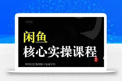 2024闲鱼核心实操课程，从养号、选品、发布、销售，教你做一个出单的闲鱼号