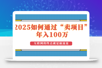 2025年如何通过“卖项目”实现100万收益：最具潜力的盈利模式解析
