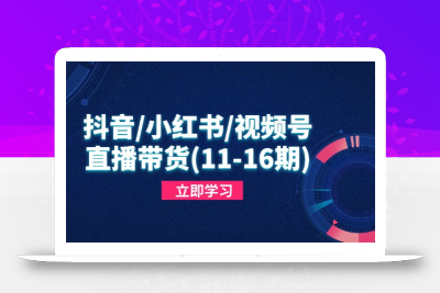 抖音/小红书/视频号/直播带货(11-16期