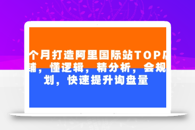 4个月打造阿里国际站TOP店铺，懂逻辑，精分析，会规划，快速提升询盘量