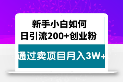 新手小白日引流200+创业粉,通过卖项目月入3W+