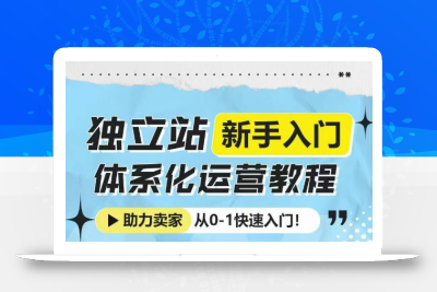 独立站新手入门体系化运营教程，助力独立站卖家从0-1快速入门!