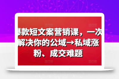 爆款短文案营销课，一次解决你的公域→私域涨粉、成交难题