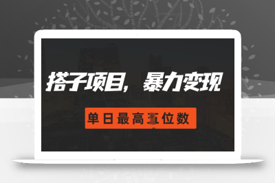 2024搭子玩法，0门槛，暴力变现，单日最高破四位数【揭秘】
