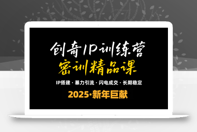 2025年“知识付费IP训练营”小白避坑年赚百万，暴力引流，闪电成交