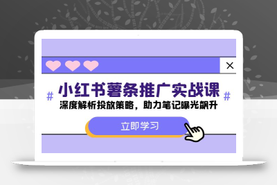 小红书-薯条推广实战课：深度解析投放策略，助力笔记曝光飙升