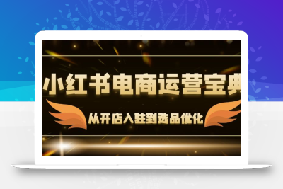 小红书电商运营宝典：从开店入驻到选品优化，一站式解决你的电商难题