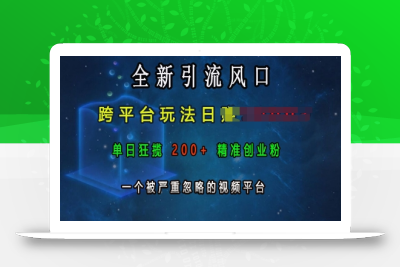 全新引流风口，跨平台玩法日入上k，单日狂揽200+精准创业粉，一个被严重忽略的视频平台