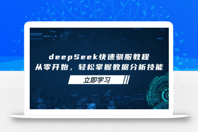 deepSeek快速驯服教程，从零开始，轻松掌握数据分析技能
