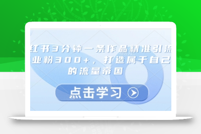 小红书3分钟一条作品精准引流创业粉300+，打造属于自己的流量帝国