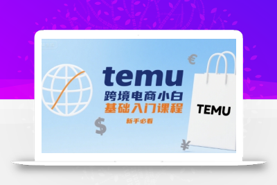 temu跨境电商小白基础入门课程，新手必看