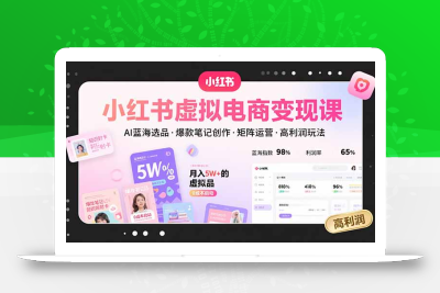 小红书虚拟电商变现课，AI蓝海选品，爆款笔记创作，矩阵运营，高利润玩法