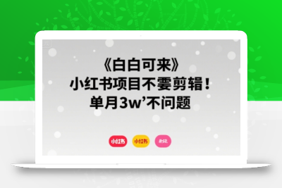 小白可来 小红书项目不需要剪辑 单月3w不是问题