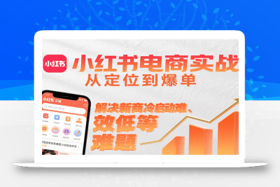 小红书电商实战，从定位到爆单解决新商冷启动难、变现效率低等难题