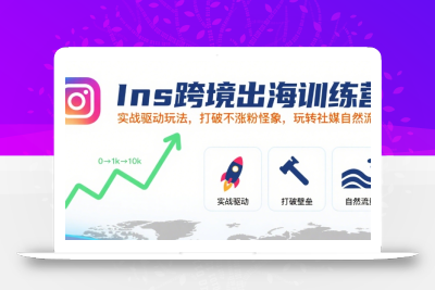 Ins跨境出海训练营，实战驱动玩法，打破不涨粉怪象，玩转社媒自然流量
